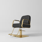 Black and Gold Hair Styling Chair