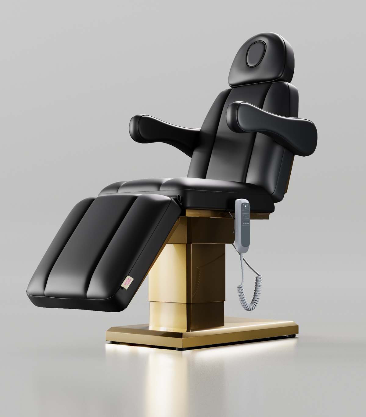 Black beauty bed with Gold base and hand control