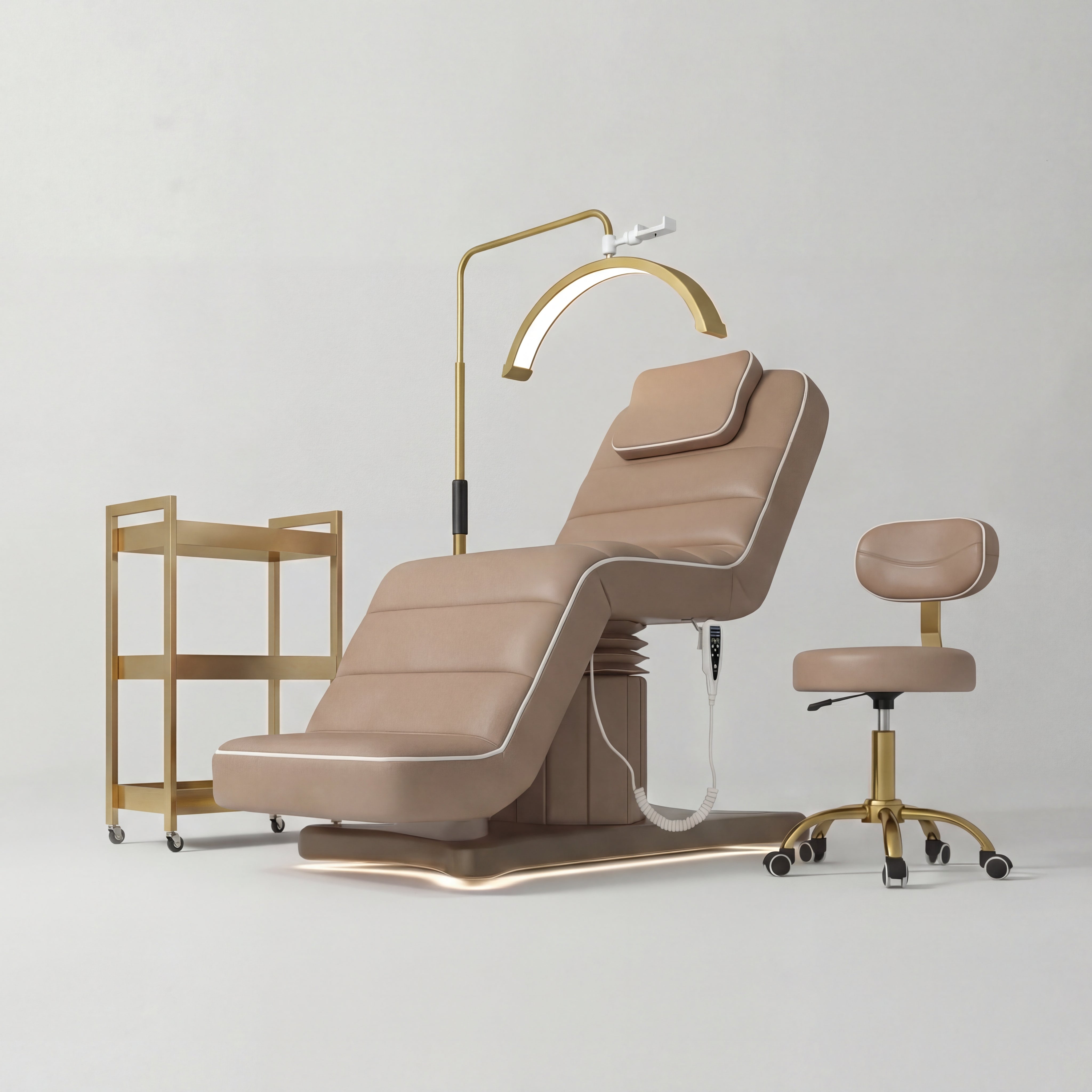 Brown and Gold Salon Furniture Set