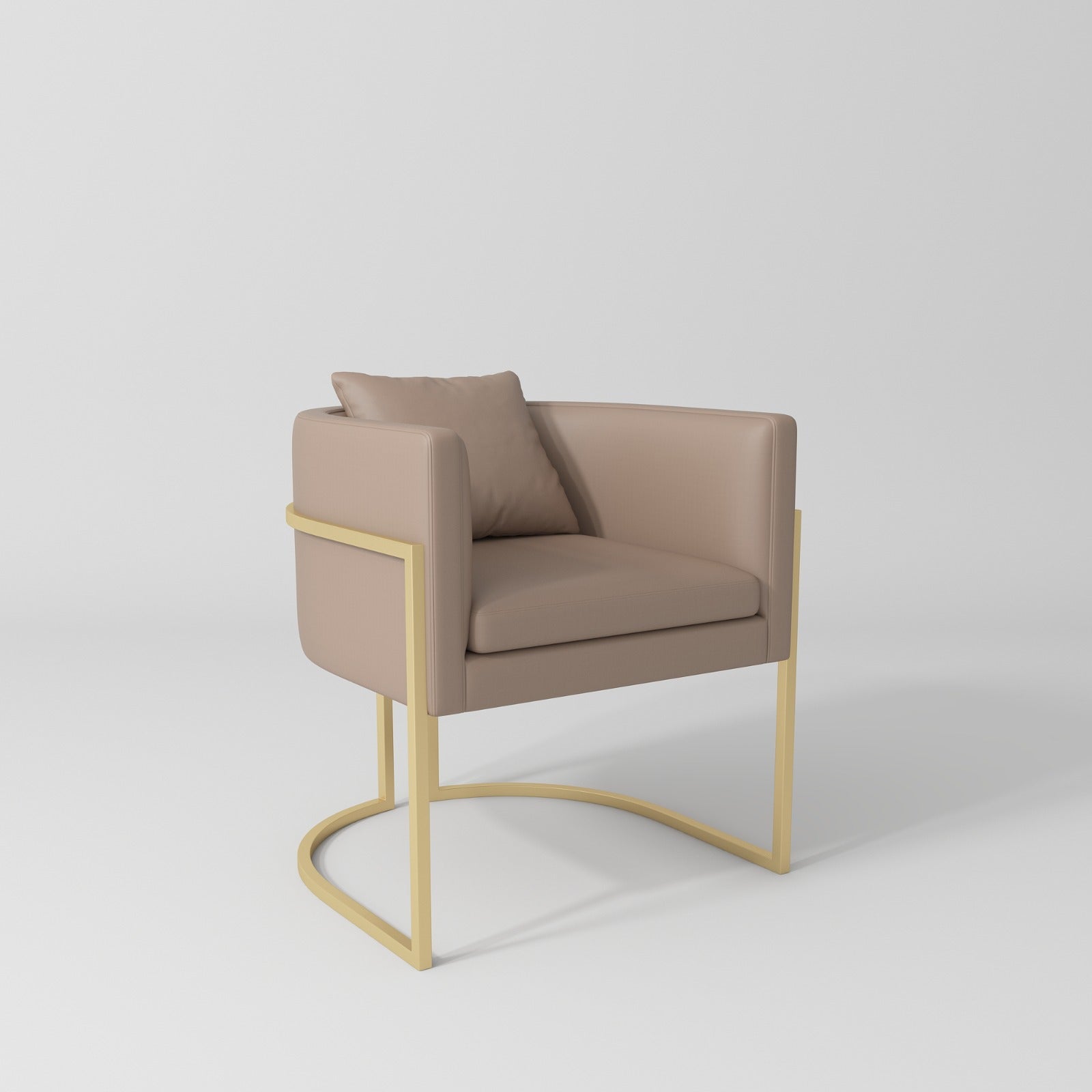 Luxury Leather Salon Chair