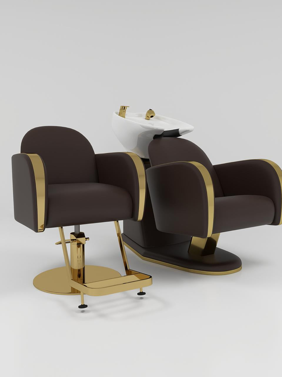 Dark Brown Hair Styling Chair with Backwash Unit