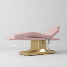 Luxury baby pink electric beauty bed 