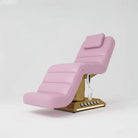 Barbie Pink Bed with Gold Base and foot controls