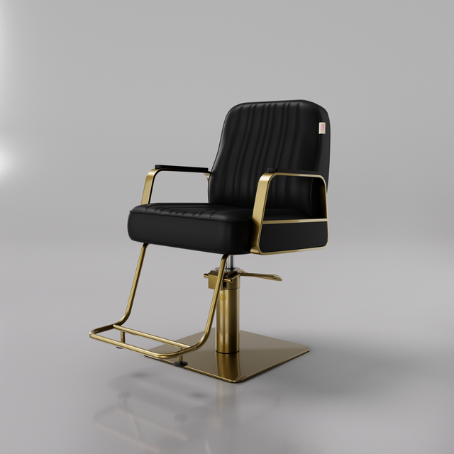 Black and Gold Hair Styling Chair