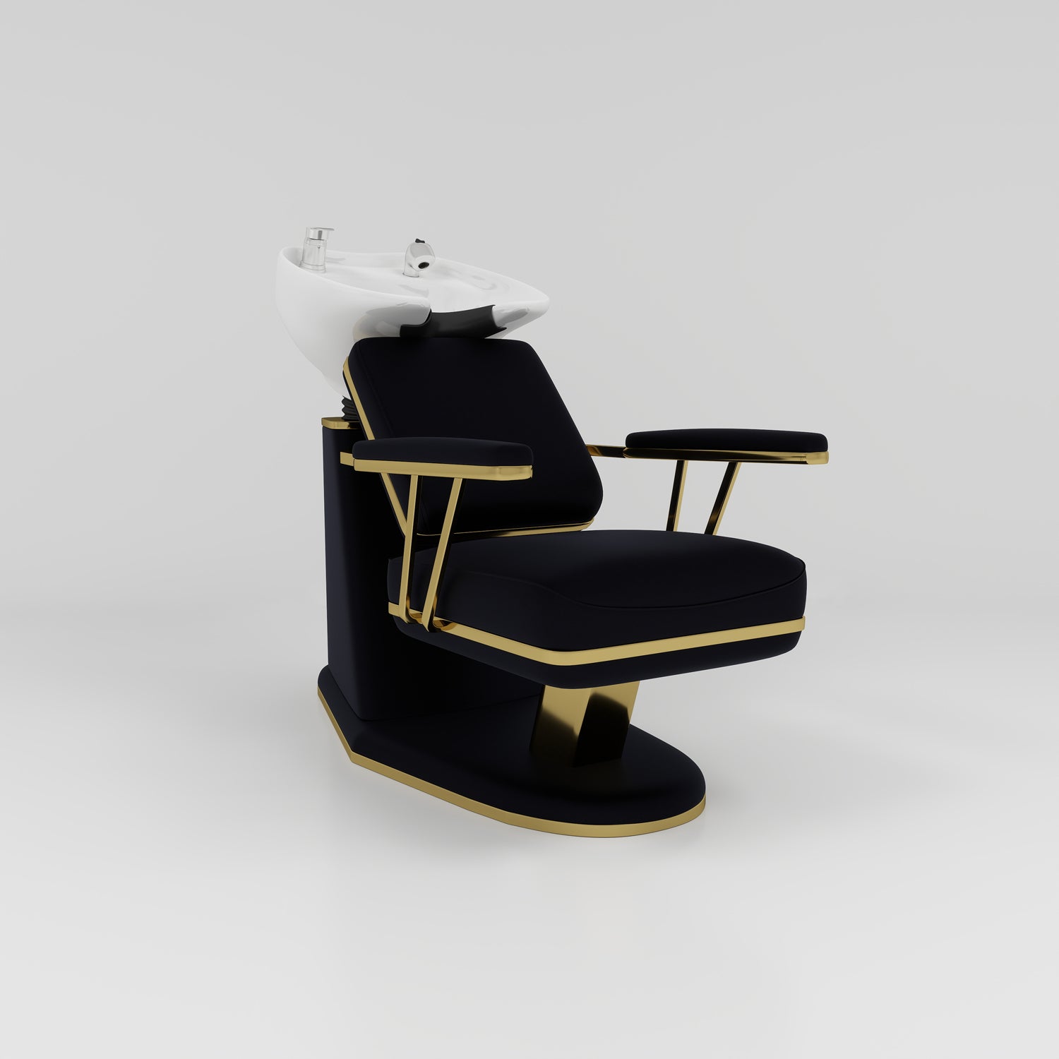 Modern Black Backwash Unit with White Bowl