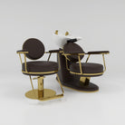 Brown and Gold Hairdressing Furniture Set 