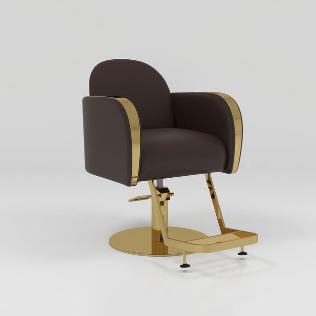 Brown Hair Salon Chair with Gold Footrest