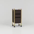 Trolley in Brown and Gold with Wheels