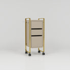 Hairdressing Trolley Cart
