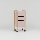 Hairdressing trolley in pink with gold arms and wheels