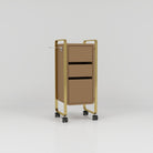 Brown and Gold Salon Trolley with Wheels and Draws
