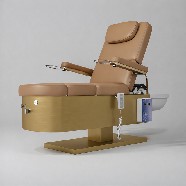 Electric Brown Bed with Head Spa, Foot Spa and Pillow