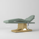 Sage green luxury medical bed with LED lighting